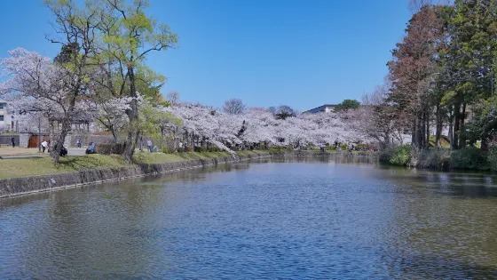 Tsuruoka Park, photo 4