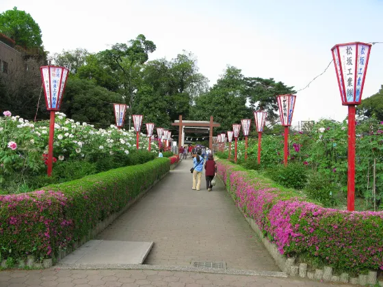Higashimatsuyama Peony Garden, photo 4