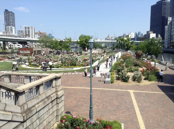 Nakanoshima Park Rose Garden, photo 3