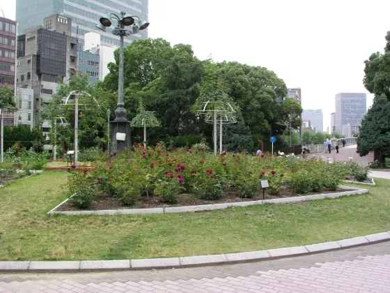 Nakanoshima Park Rose Garden, photo 4