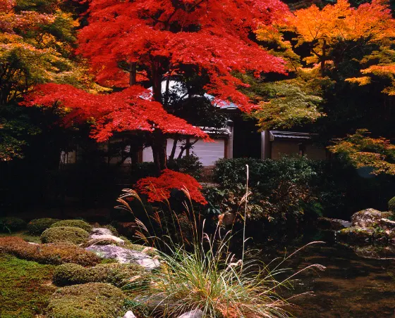Nanzen-ji Temple, photo 3