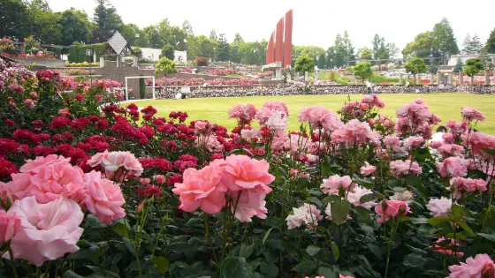 Aramaki Rose Park, photo 4