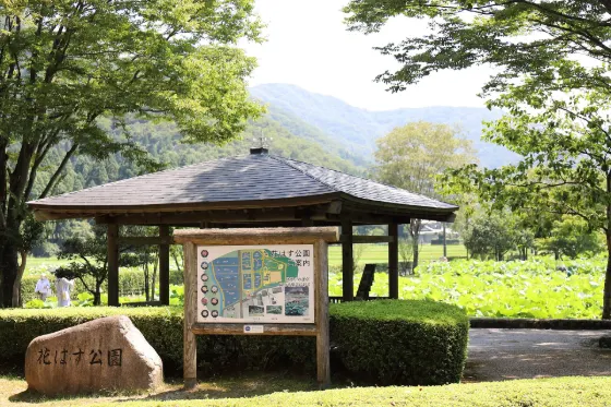 Hana Hasu Park, photo 2