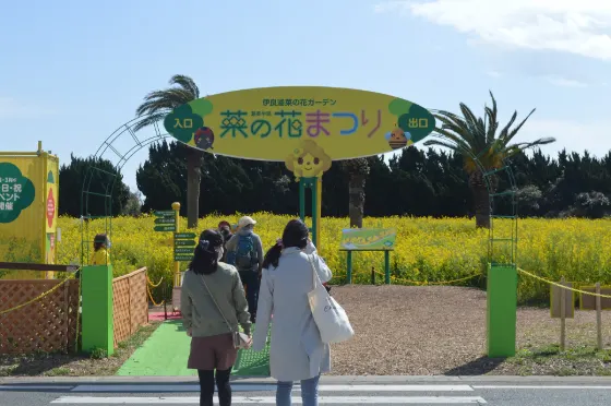 Irago Nanohana Garden, photo 3