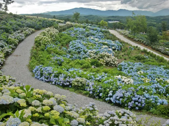 Jupia Land Hirata, photo 2