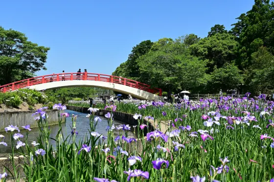 Kamo Shobuen (Toyohashi), photo 2