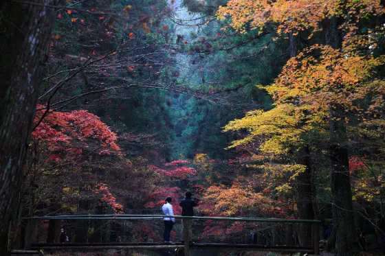 Oguni Shrine, photo 3