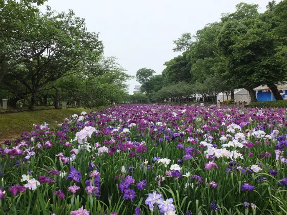 Omura Park, photo 2