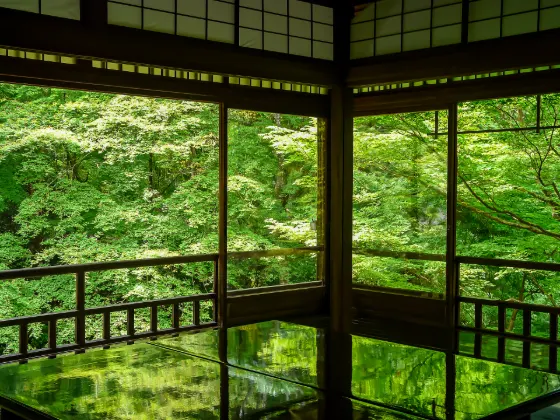 Ruriko-in Temple, photo 3