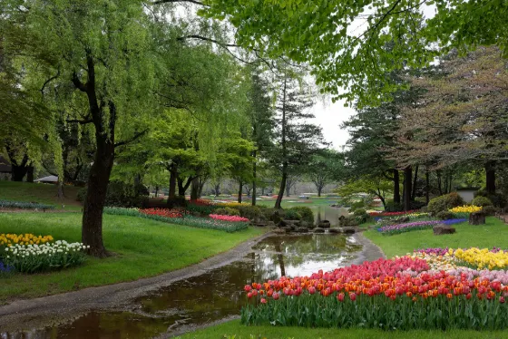 Showa Kinen Park, photo 3