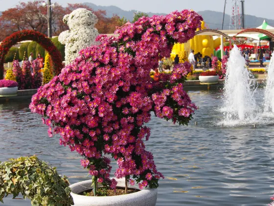 Takefu Chrysanthemum Dolls, photo 4