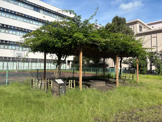 Takehana Betsuin, photo 3