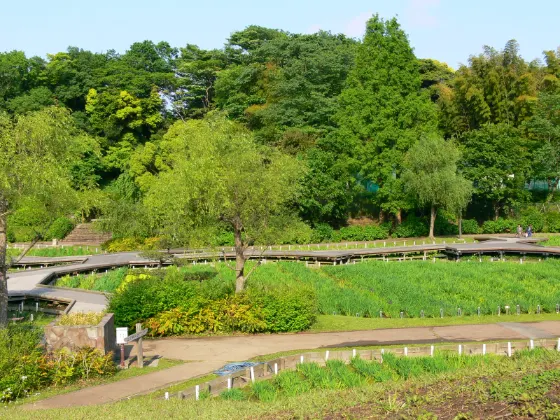 Yokosuka Iris Garden, photo 3