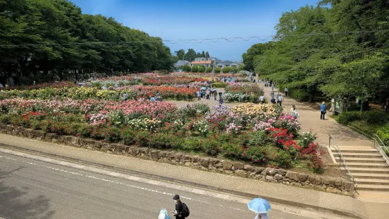 Yono Park, photo 3