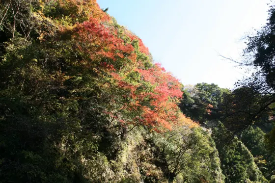 Yoro Valley, photo 2