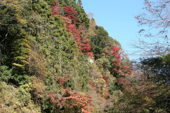 Yoro Valley, photo 3