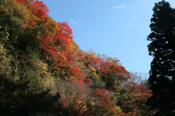 Yoro Valley, photo 4