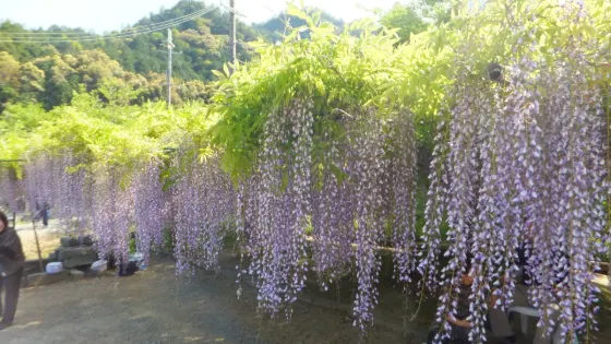 Byakugo-ji Temple, photo 3
