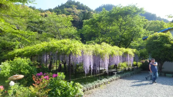 Byakugo-ji Temple, photo 4