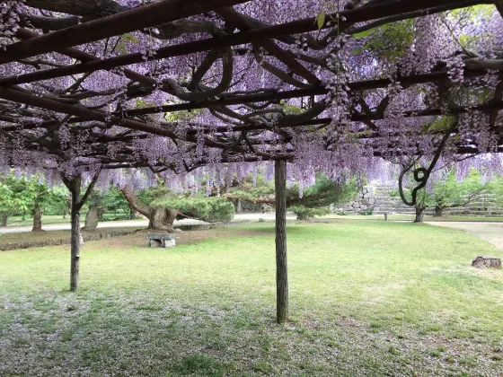 Hagi Castle Ruins (Shizuki Park), photo 2