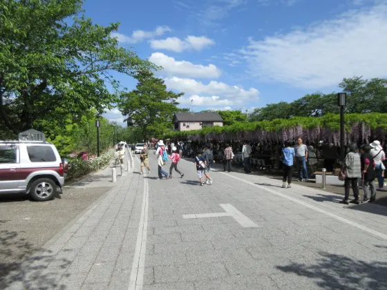 Okazaki Park (Gomangoku Wisteria), photo 2