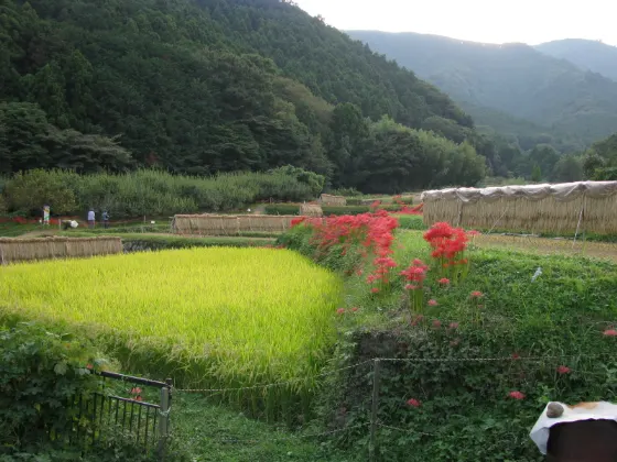 Hinata (Isehara), photo 2