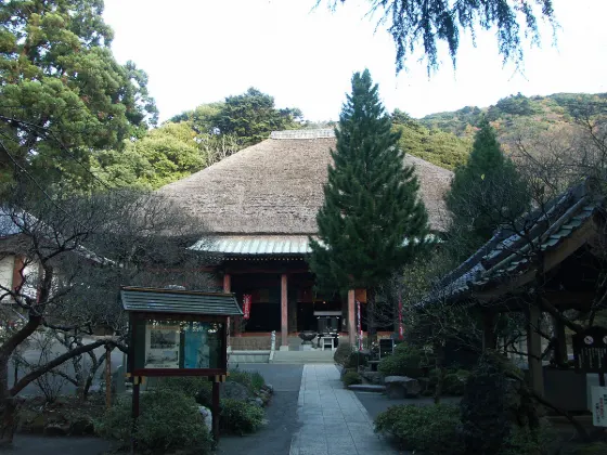 Hinata (Isehara), photo 4