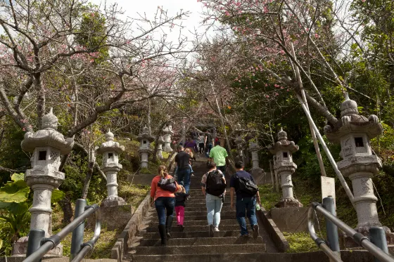 Nago Central Park, photo 4