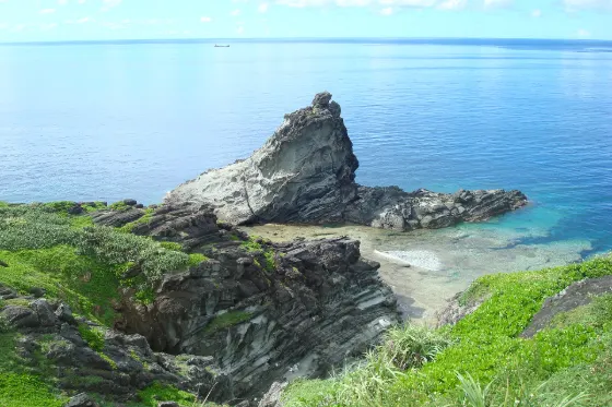 Cape Mikanzaki Lilies, photo 2