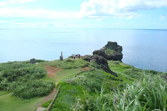 Cape Mikanzaki Lilies, photo 3