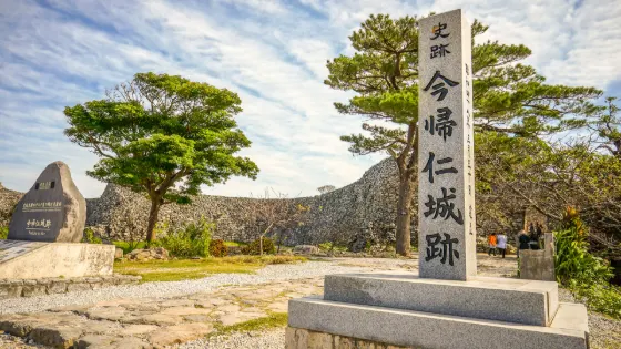 Nakijin Castle Ruins Cherry Blossoms, photo 2