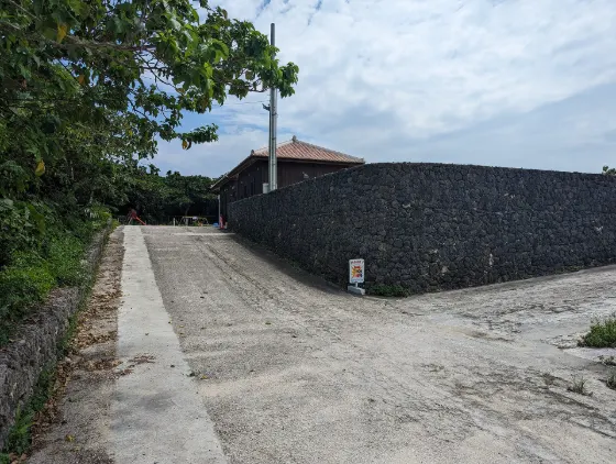 Taketomi Island Deigo and Bougainvillea, photo 2