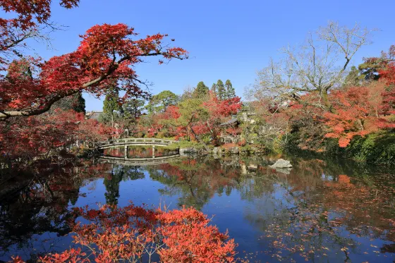 Eikando Temple, photo 3