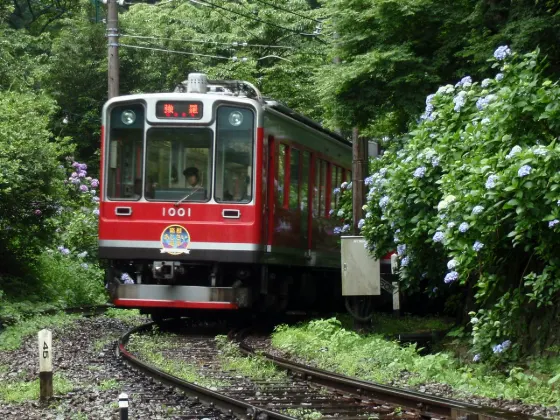 Hakone Tozan Railway, photo 2
