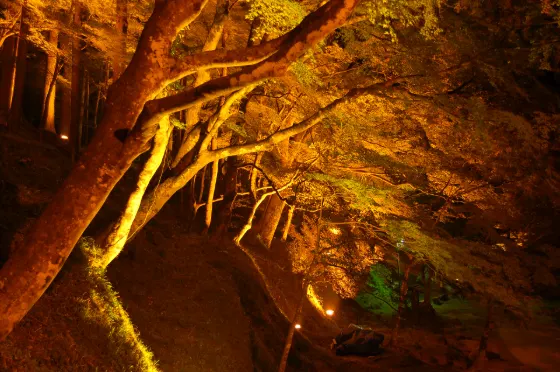 Korankei, photo 3