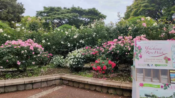 Minato-no-Mieru-Oka Park, photo 2