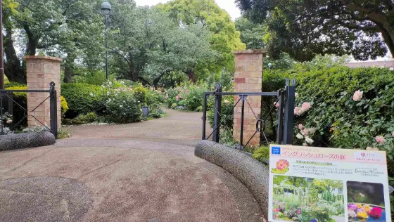 Minato-no-Mieru-Oka Park, photo 3