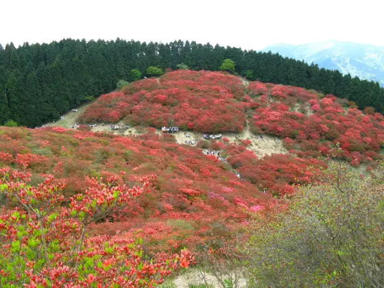 Mount Katsuragi, photo 3