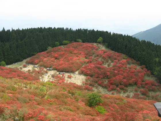 Mount Katsuragi, photo 4