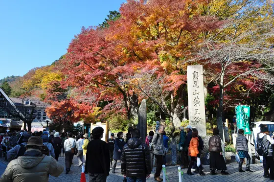 Mount Takao, photo 3