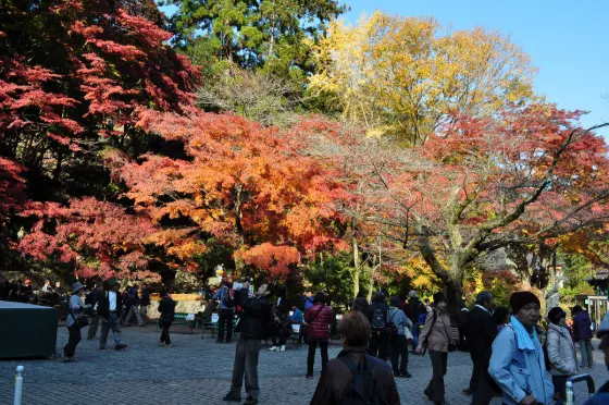 Mount Takao, photo 4