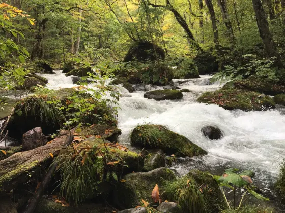 Oirase Gorge, photo 2