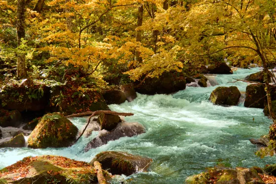 Oirase Gorge, photo 3