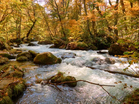 Oirase Gorge, photo 4