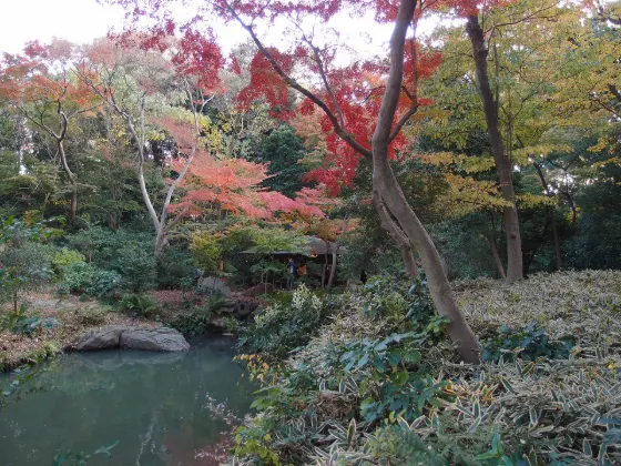 Rikugien Garden, photo 4