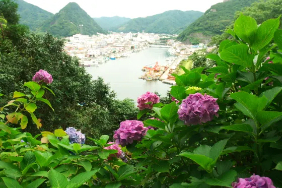 Shimoda Park, photo 3