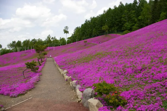 Takinoue Park, photo 2