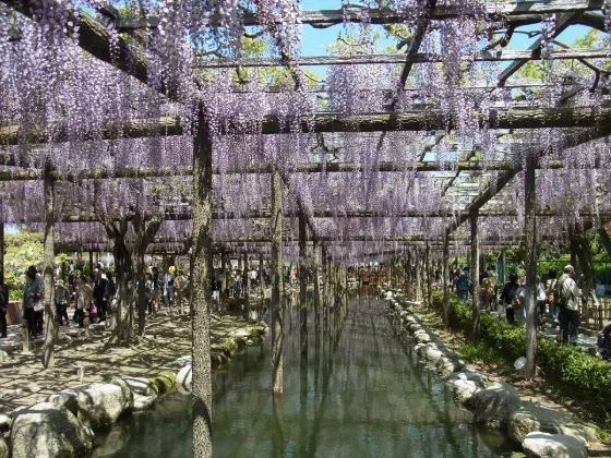 Tennogawa Park, photo 3
