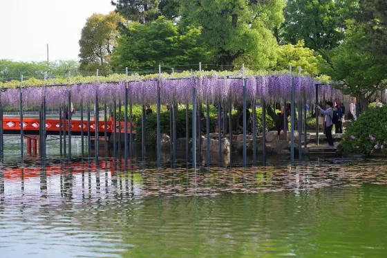 Tennogawa Park, photo 4