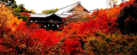 Tofuku-ji Temple, photo 2